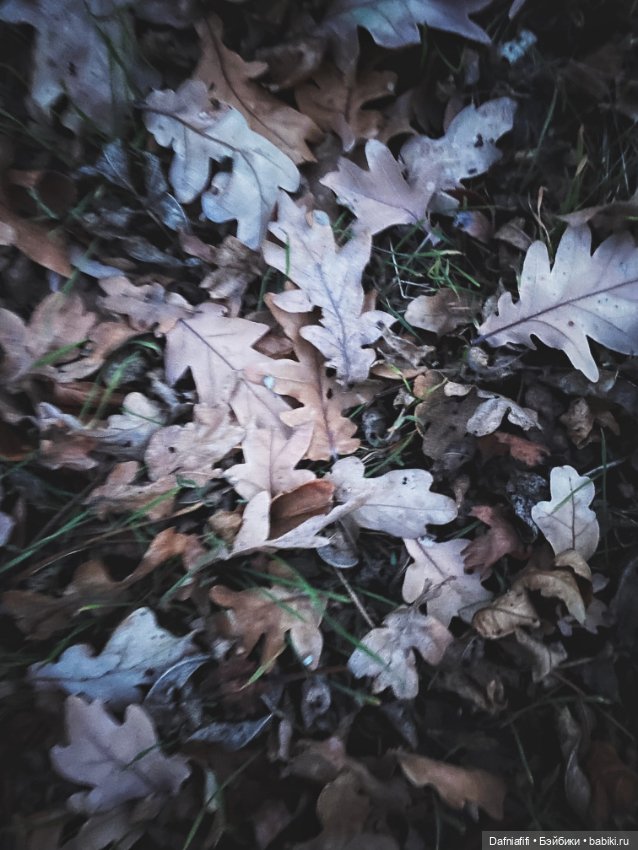 Моночка — Куклы Dollzone (Доллзон): BJD (БЖД)