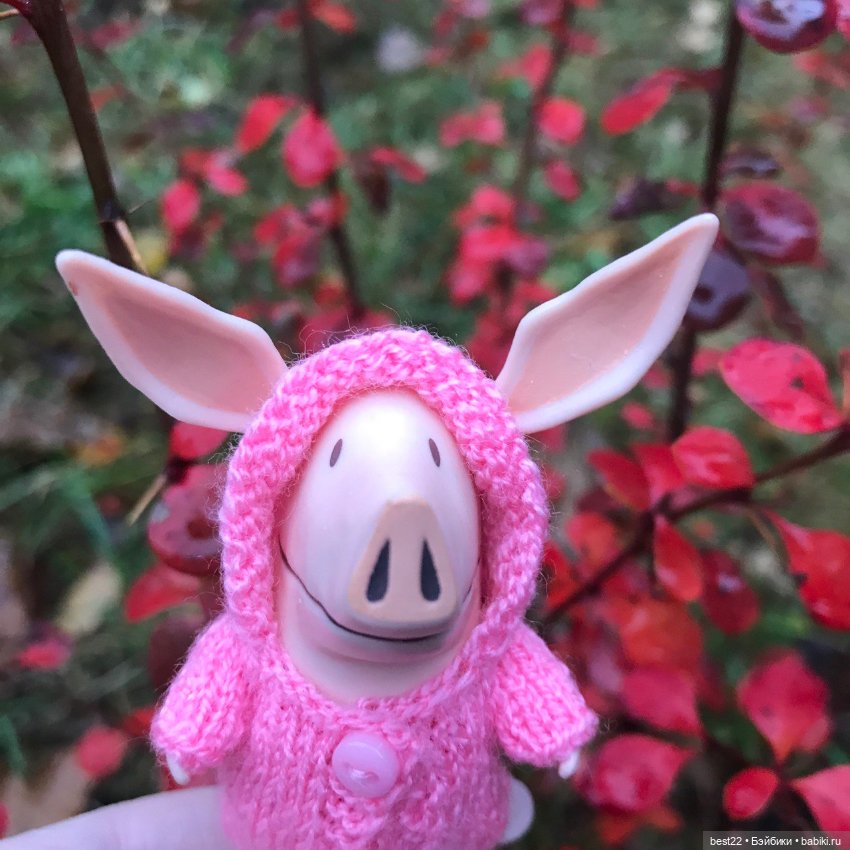 🍂 Осень для Оливии — Игровые куклы разных производителей (Разное): редкие бренды