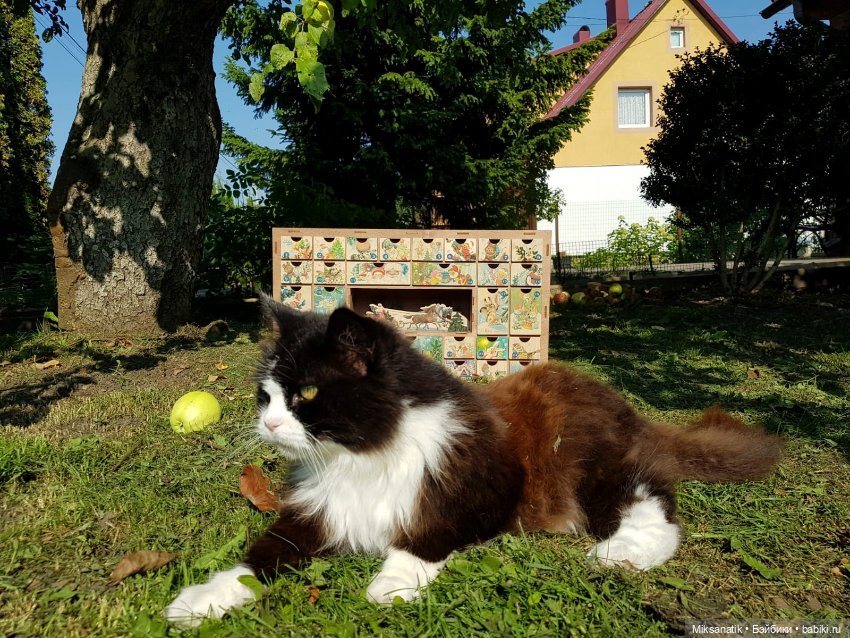 Адвент календарь и мои помощники