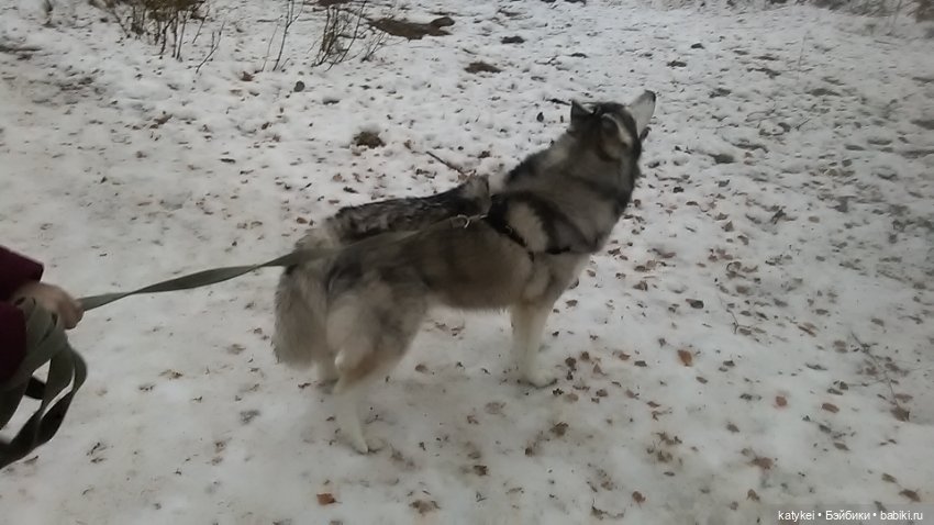 Осенне-зимние игры — Коллекционные игрушки и фигурки: Lego