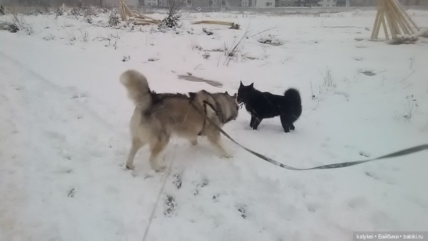 Осенне-зимние игры — Коллекционные игрушки и фигурки: Lego