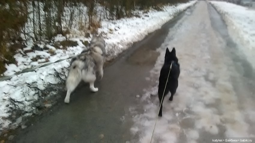 Осенне-зимние игры — Коллекционные игрушки и фигурки: Lego