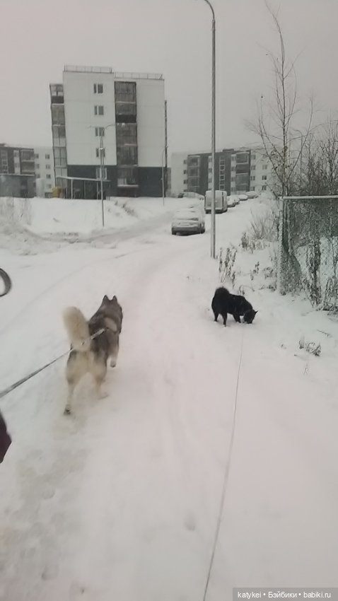 Осенне-зимние игры — Коллекционные игрушки и фигурки: Lego