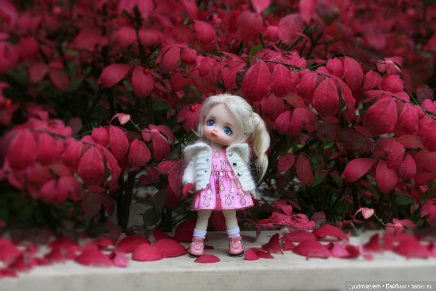Розовый лучший цвет — Куклы Baboliy (Баболи (фото 6)
