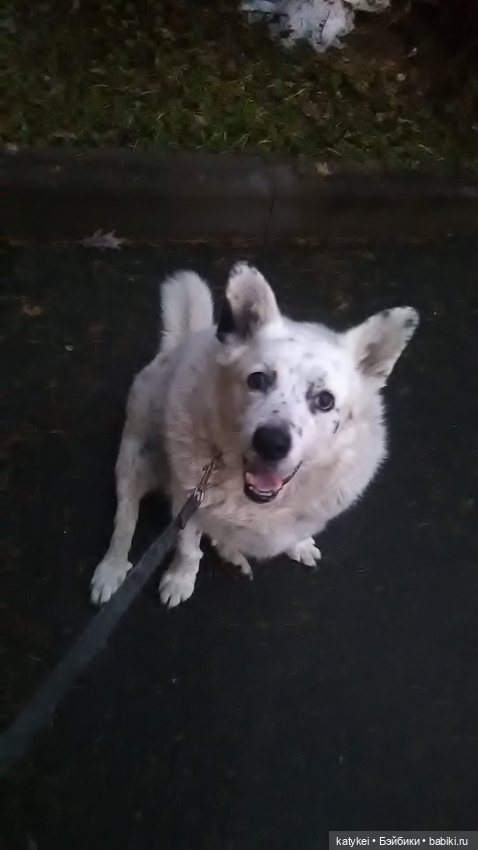 Осенне-зимние игры — Коллекционные игрушки и фигурки: Lego