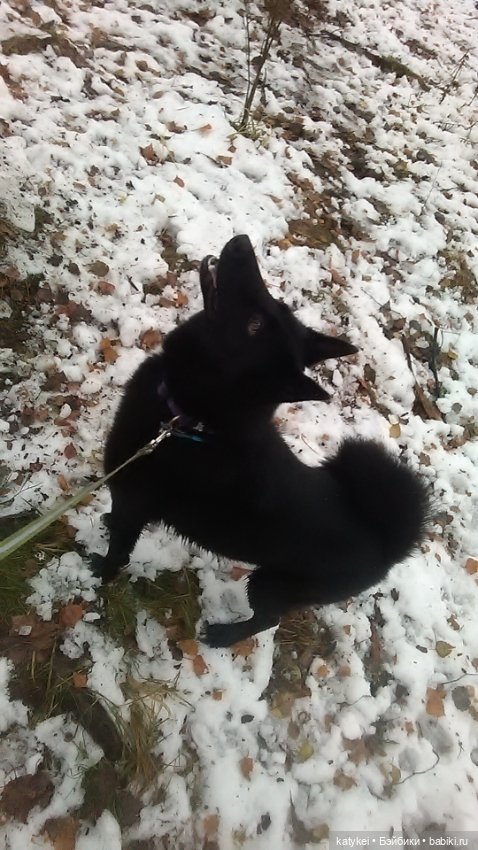 Осенне-зимние игры — Коллекционные игрушки и фигурки: Lego