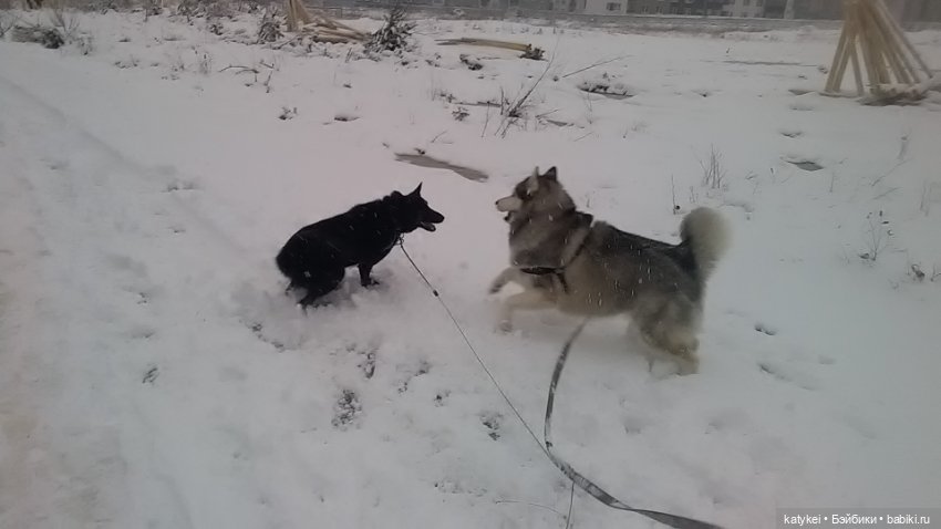 Осенне-зимние игры — Коллекционные игрушки и фигурки: Lego