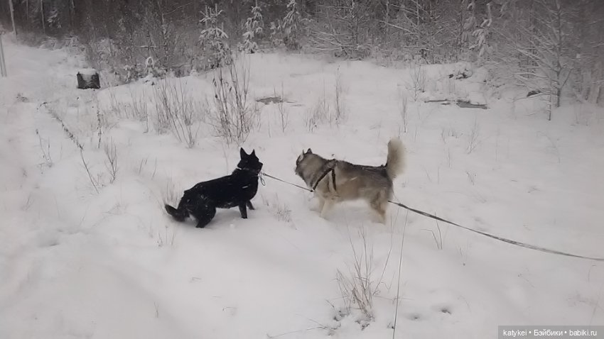 Осенне-зимние игры — Коллекционные игрушки и фигурки: Lego