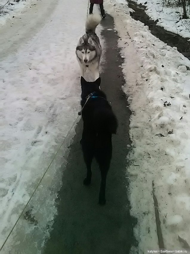 Осенне-зимние игры — Коллекционные игрушки и фигурки: Lego