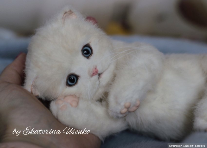 Котенок Мия — Авторские мишки Тедди и друзья: фото