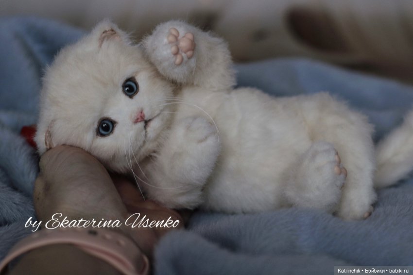 Котенок Мия — Авторские мишки Тедди и друзья: фото