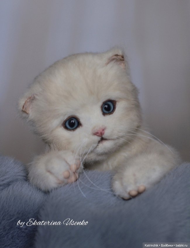 Котенок Мия — Авторские мишки Тедди и друзья: фото