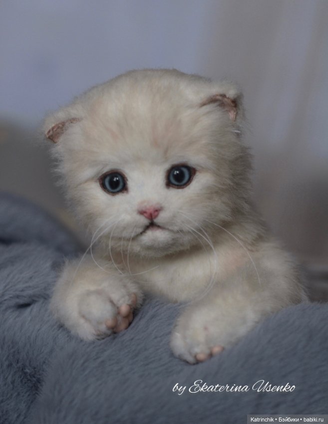 Котенок Мия — Авторские мишки Тедди и друзья: фото (фото 3)