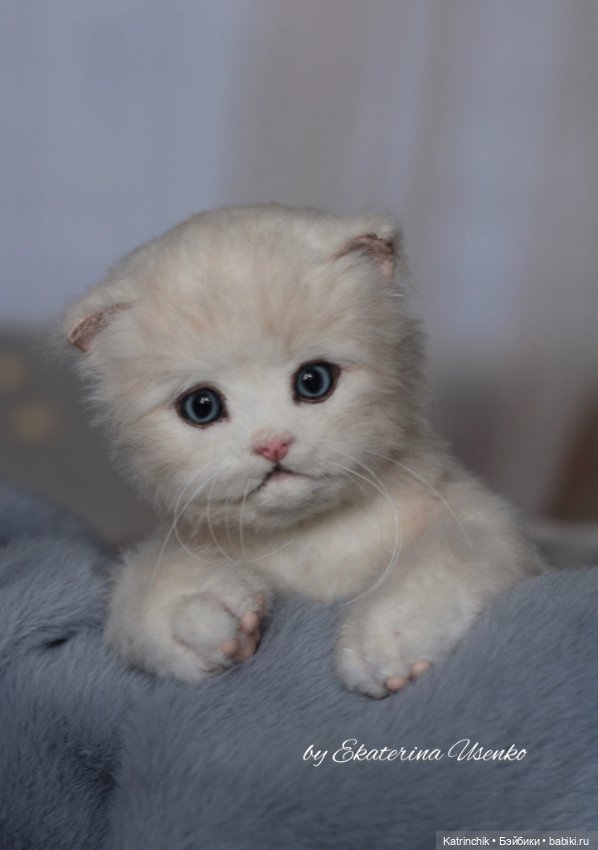 Котенок Мия — Авторские мишки Тедди и друзья: фото (фото 4)