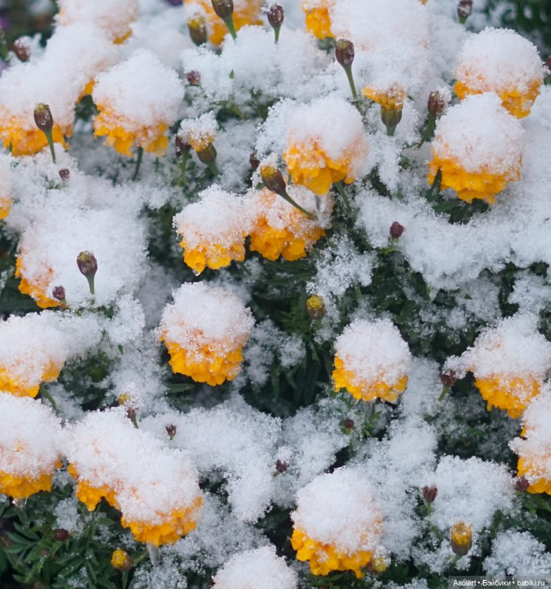 Листопадничек — Авторские фарфоровые куклы (OOAK): ручная работа (фото 10)