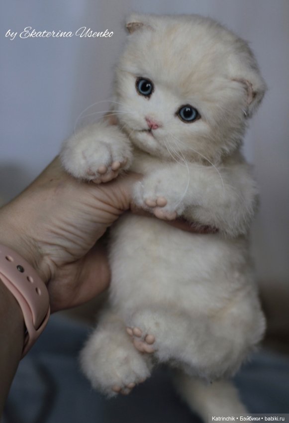 Котенок Мия — Авторские мишки Тедди и друзья: фото (фото 2)