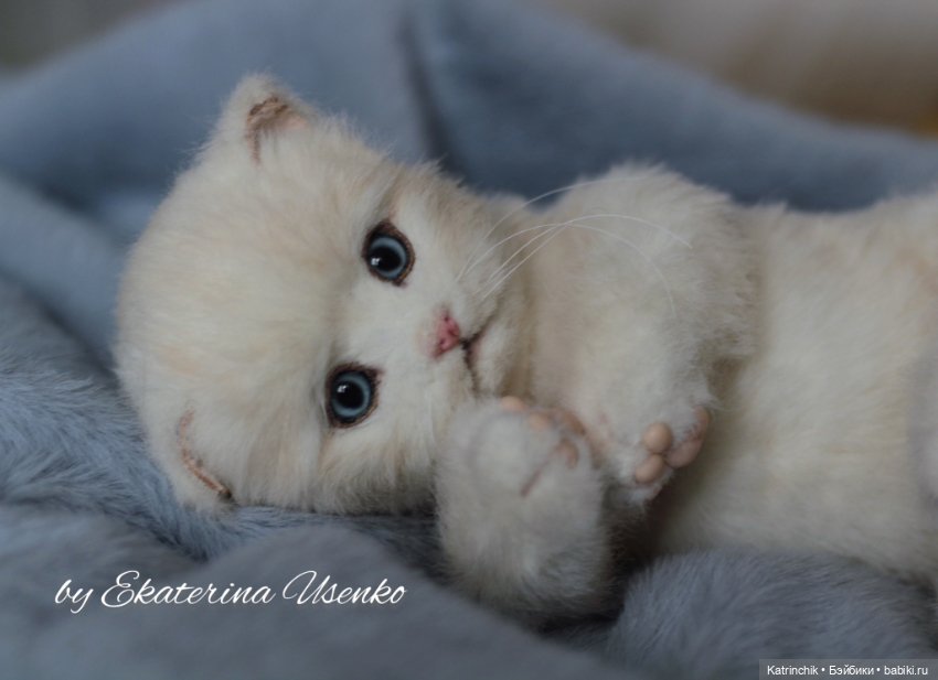 Котенок Мия — Авторские мишки Тедди и друзья: фото (фото 9)