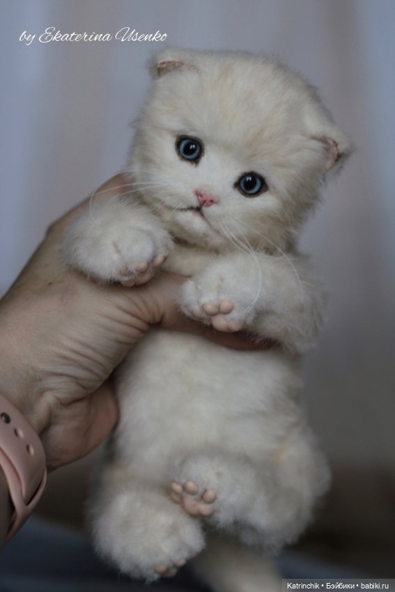 Котенок Мия — Авторские мишки Тедди и друзья: фото