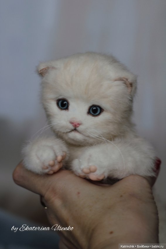 Котенок Мия — Авторские мишки Тедди и друзья: фото (фото 7)