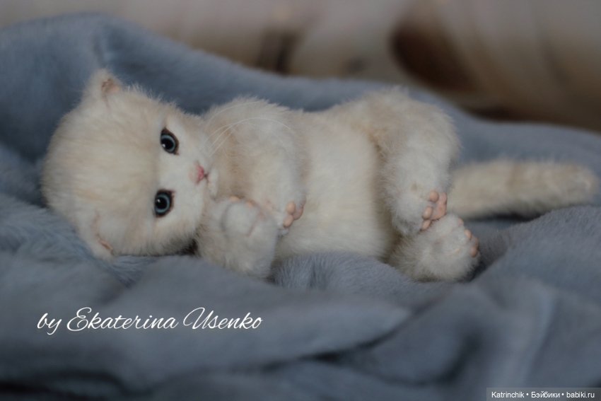 Котенок Мия — Авторские мишки Тедди и друзья: фото (фото 10)