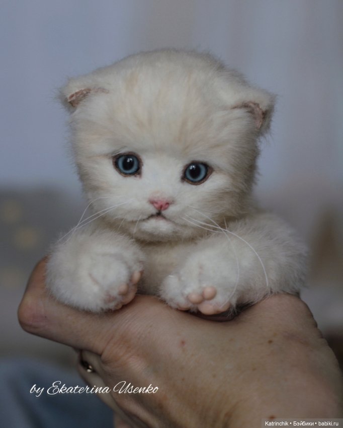 Котенок Мия — Авторские мишки Тедди и друзья: фото (фото 6)