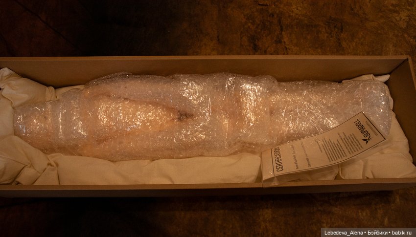 Распаковка Supia — Куклы Supia Doll (Супия): корейские BJD (БЖД) (фото 5)