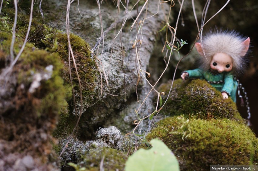 Маленькая жительница Зачарованного леса (фото 7)