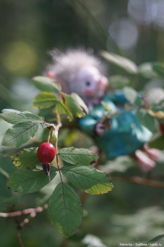 Маленькая жительница Зачарованного леса