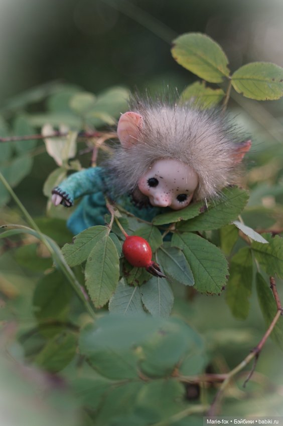 Маленькая жительница Зачарованного леса