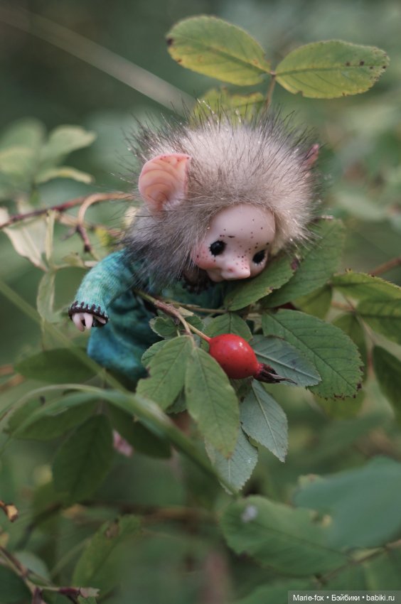 Маленькая жительница Зачарованного леса