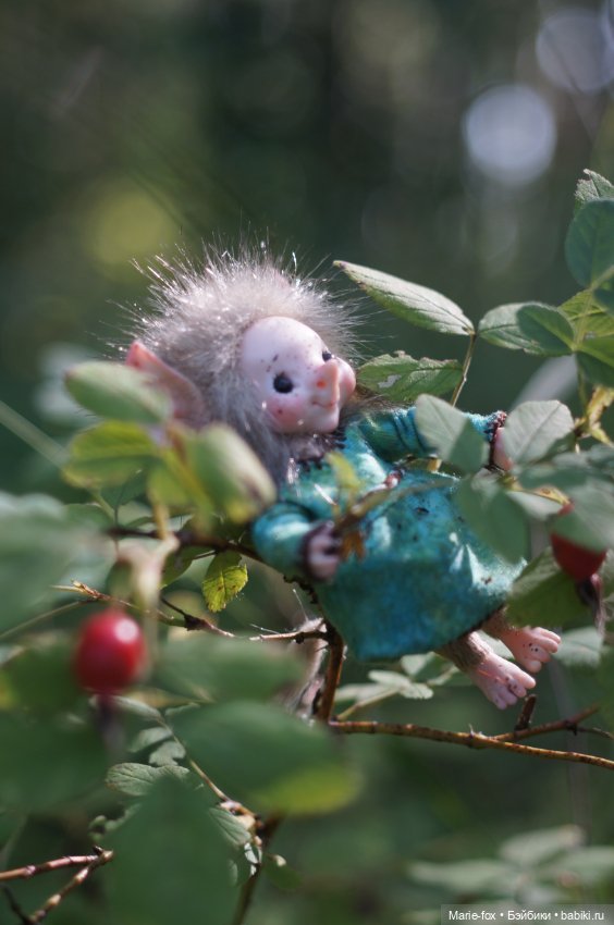 Маленькая жительница Зачарованного леса