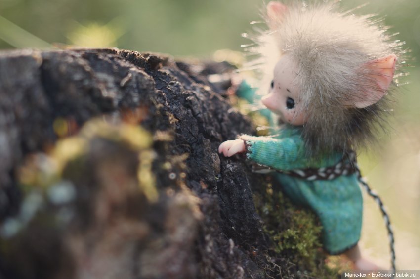 Маленькая жительница Зачарованного леса (фото 10)