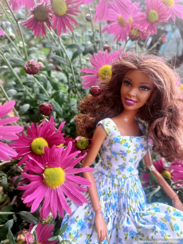 София - Цветы и шоколад — Куклы Barbie (Барби): Looks (фото 9)