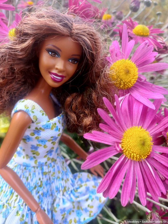 София - Цветы и шоколад — Куклы Barbie (Барби): Looks (фото 2)