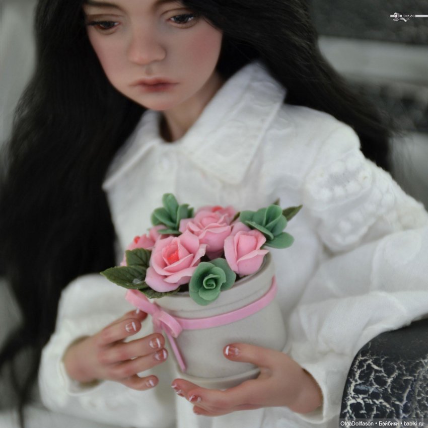 Птичка Лора приехала домой (фото 4)