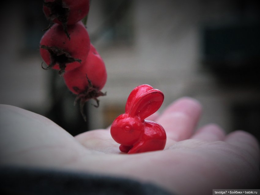 Little Apple Dolls в ноябрьском лесу