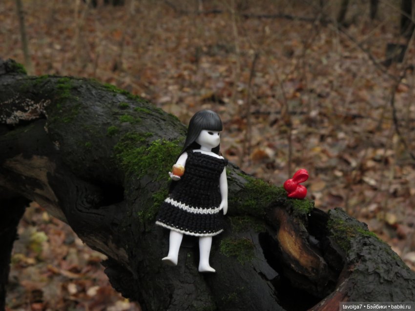 Little Apple Dolls в ноябрьском лесу