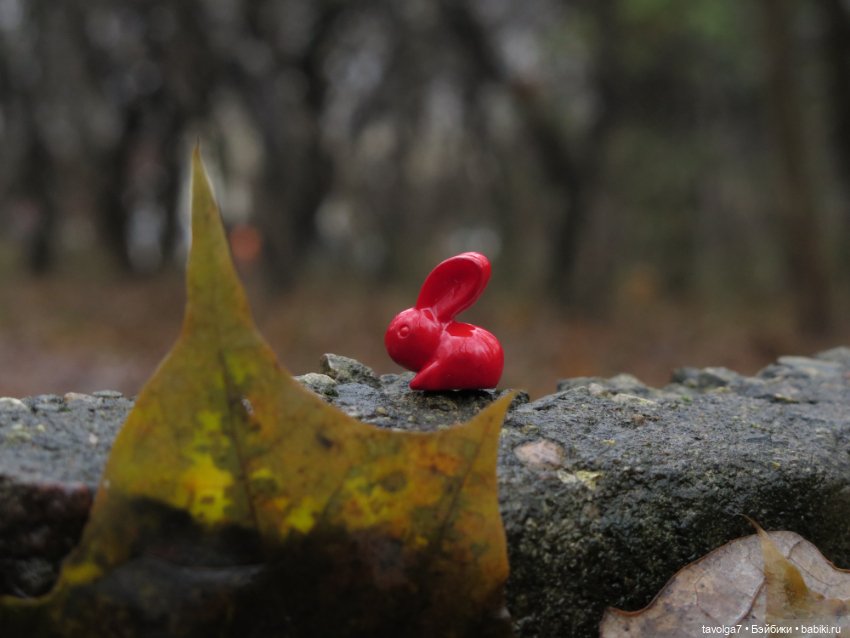 Little Apple Dolls в ноябрьском лесу