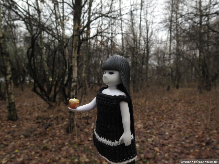 Little Apple Dolls в ноябрьском лесу (фото 6)