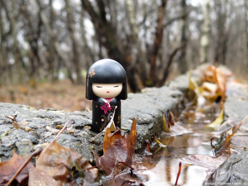 Kimmidoll и Little Apple Dolls