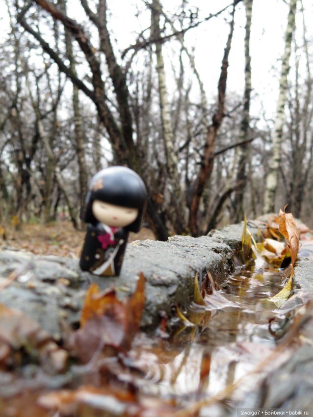 Kimmidoll и Little Apple Dolls (фото 3)