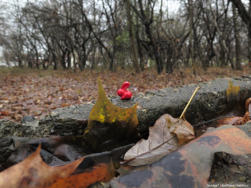 Little Apple Dolls в ноябрьском лесу