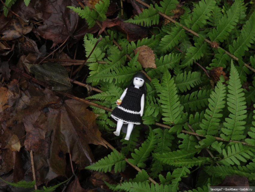 Little Apple Dolls в ноябрьском лесу (фото 9)