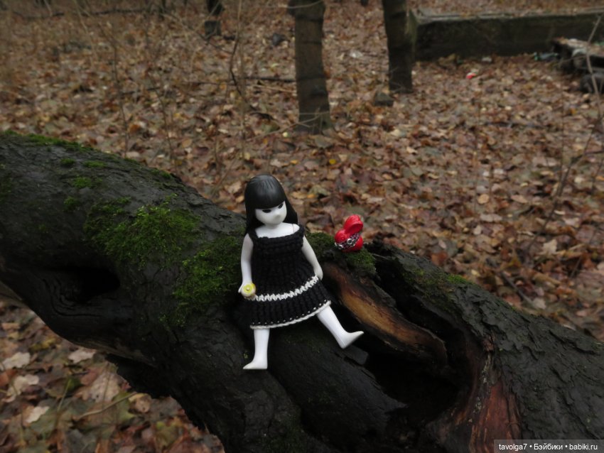 Little Apple Dolls в ноябрьском лесу