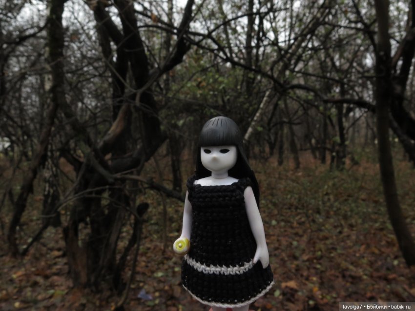 Little Apple Dolls в ноябрьском лесу (фото 7)