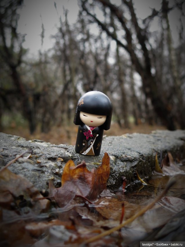 Kimmidoll и Little Apple Dolls (фото 2)