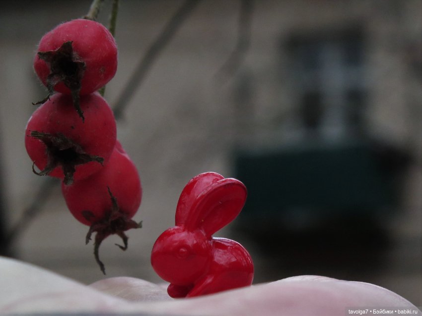 Little Apple Dolls в ноябрьском лесу