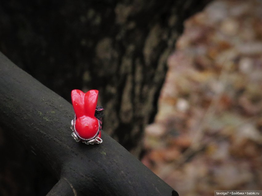 Little Apple Dolls в ноябрьском лесу