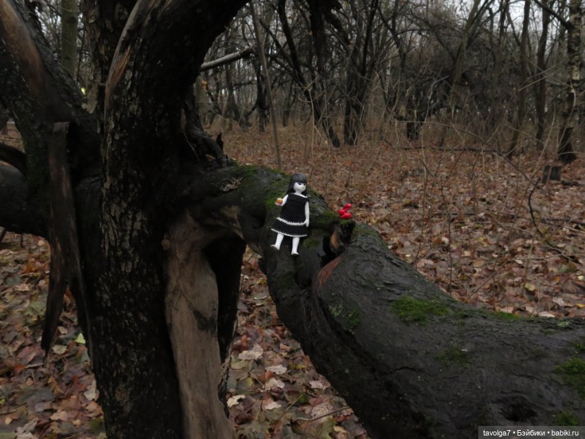 Little Apple Dolls в ноябрьском лесу