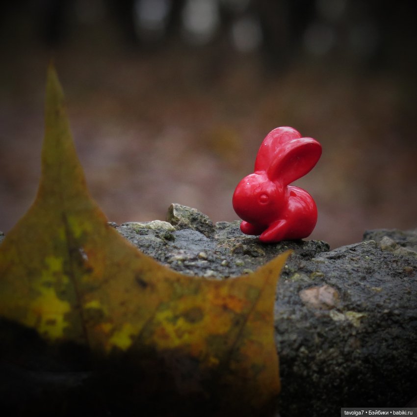 Kimmidoll и Little Apple Dolls